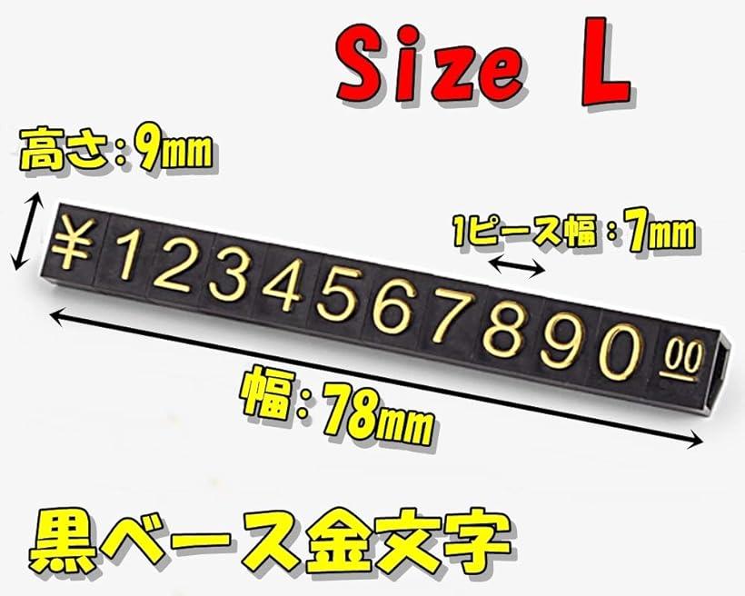 �ڳ�ŷ��󥭥�1�����ޡۥץ饤�����塼�� L������ �֥��å� ���� ������� ���� ɽ�� �ǥ����ץ쥤 �ץ饤���ץ졼�� �����֥��å� 50�ĥ��å� ���١�����ʸ�� (���١�����ʸ��, L)