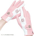 プレミーノ ゴルフ グローブ 手袋 レディース 両手 フィット感 耐久性 デザイン性 19 16.5cm-17.0cm(ピンク, 19 (16.5cm-17.0...