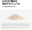 【全品P5倍★ワンダフルデー】pidan 猫砂 おから 流せる 固まる 脱臭 抗菌 血尿検査顆粒付き 飛び散らない トイレに流れる (2.4kg ×2袋) 3