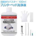 ビュウプリント 目詰まりバスター インクジェットプリンタ― 印字不良 洗浄液 100ml プリントヘッド クリーニング液 各社対応) クリーニングキット 洗浄液 セット