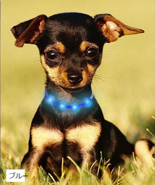 最新型 犬用光る首輪 発光首輪 usb充電式 装着簡単(ブルー, 1個 (x 1))