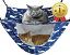 【楽天ランキング1位入賞】猫 ハンモック ケージ用 丈夫 キャンバス生地 夏冬両用 耐荷重10kg 47x38cm 長さ調節可( 青・クジラ, 47x38cm)