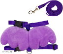 天使の羽 ハーネス リード 2点セット 小型犬用 首輪 調節可能 猫 小動物(パープル, XS)