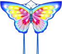 バリエーションコード : 2b2q48kokr商品コード2b2q4846k2商品名カイト 凧 凧揚げ 子供 フライングフーファー バタフライカイト バタフライブランドABIBAカラー虹色・人生での春と言えば、良いことが起こることです。蝶は春の訪れの喜びを表現しますので、蝶々のおもちゃは子供に祝福をもたらします。幸運を引き寄せたいと思ったら、胡蝶をモチーフにした凧をたこあげに行きませんか。・同梱の説明書にわかりやすい組み立てのイラストがあり、8点のロッド入れの後、組み立てが完了です。8本のテールが付き、風になびき、凧が安定に飛行できます。初心者や子供に対しても、よく飛ぶカイトです。遊び終わったら、凧を折り畳み、コンパクトな収納バッグに収めます。・カイトは210Tリップストップナイロン生地を使用し、破れにくいです。きれいな印刷で、キラキラ輝きます。耐久性が高いので、色褪せません。ロッドがグラスファイバーで、強風の場合も折れません。凧揚げに何回行っても、良好です。・外遊び、キャンプの場合、公園遊具、海遊び道具を探す方にとって、このバタフライ玩具はいい選択肢かもしれません。お正月、クリスマスに大切な人に送ったら、喜びが伝わります。s※ 他ネットショップでも併売しているため、ご注文後に在庫切れとなる場合があります。予めご了承ください。※ 品薄または希少等の理由により、参考価格よりも高い価格で販売されている場合があります。ご注文の際には必ず販売価格をご確認ください。※ 沖縄県、離島または一部地域の場合、別途送料の負担をお願いする場合があります。予めご了承ください。※ お使いのモニタにより写真の色が実際の商品の色と異なる場合や、イメージに差異が生じることがあります。予めご了承ください。※ 商品の詳細（カラー・数量・サイズ 等）については、ページ内の商品説明をご確認のうえ、ご注文ください。※ モバイル版・スマホ版ページでは、お使いの端末によっては一部の情報が表示されないことがあります。すべての記載情報をご確認するには、PC版ページをご覧ください。