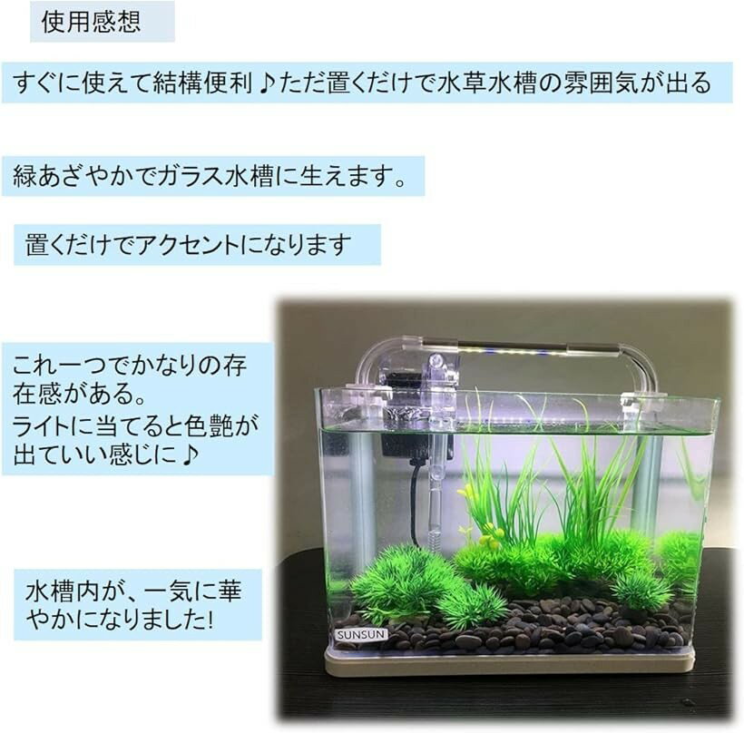 �ڳ�ŷ��󥭥�1�����ޡۥ������ꥦ�� �͹����� 3��4�ĥ��å� �����ʥ��� ���� Ǯ�ӵ� �����