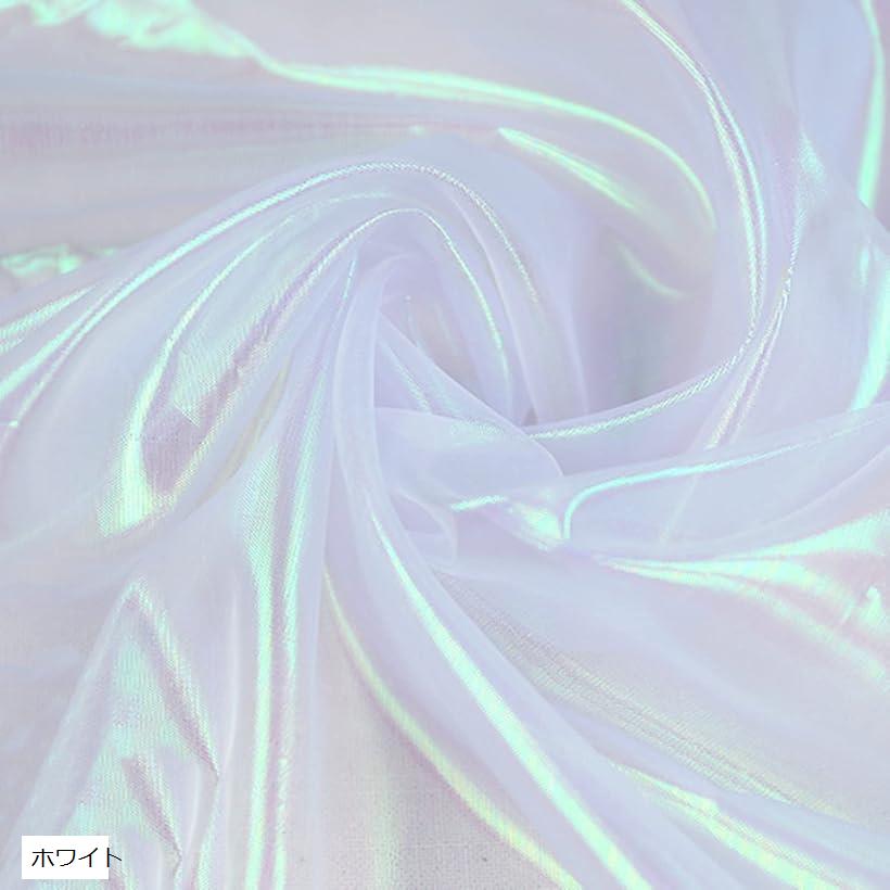 【楽天ランキング1位入賞】オーロラ オーガンジー 生地 2mx150cm 手芸 透明(ホワイト)