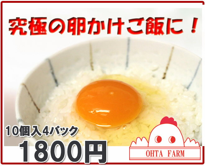 【北海道産】【キチン卵40個(10個入×4パッ...の紹介画像2