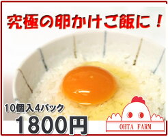 キチン卵10個【10個入り×2パック】