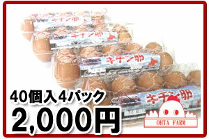 【北海道産】【キチン卵40個（10個入×4パック）】生卵・たまごかけご飯・たまご好きにはたまらない【楽..