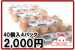 キチン卵40個（10個入り×4パック）【北海道産】生卵・たまごかけご飯・たまご好きにはたまらない