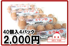 https://thumbnail.image.rakuten.co.jp/@0_mall/ohta-farm-tamago/cabinet/03063492/img61486504.jpg