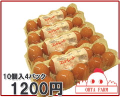 https://thumbnail.image.rakuten.co.jp/@0_mall/ohta-farm-tamago/cabinet/03408342/img61486509.jpg