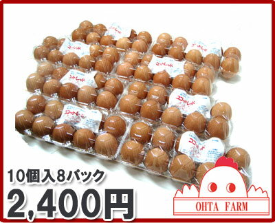 【ココットレッド80個（10個入り×8パック）】【北海道産】玉子焼き用【楽ギフ_のし】【楽ギフ_のし宛書】