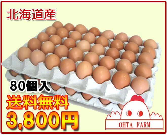 【送料無料・特別価格】【北海道産】ココットレッド80個入Lサイズ【楽ギフ_のし】【楽ギフ_のし宛書】