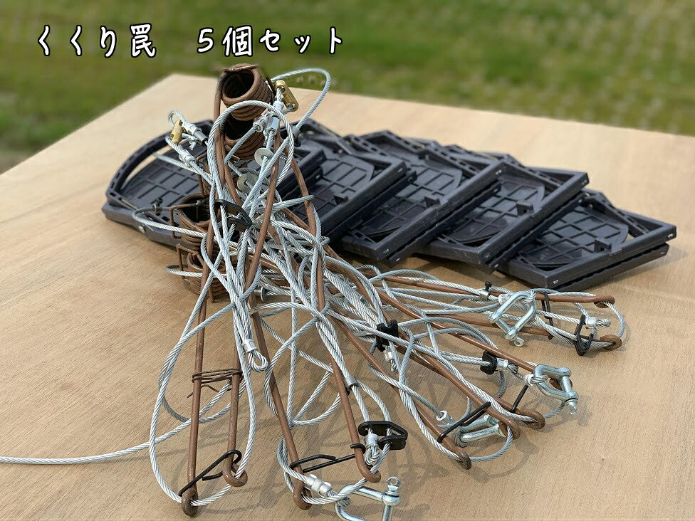 [商品価格に関しましては、リンクが作成された時点と現時点で情報が変更されている場合がございます。]