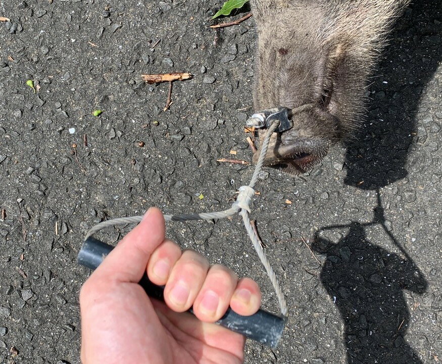 ヒッパッと　おトクな5本セット