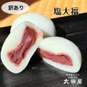 【訳あり】塩大福 送料無料 訳あり スイーツ 和菓子 大福 こし餡 特売 お菓子 美味しい 老舗 お取り寄せ 10個入