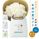 夏ギフト 御中元 限定ギフト 【新潟コシヒカリ3kgのお米】 プレゼント お米 暑中お見舞い 残暑お見舞い ありがとう 名入れ 人気 御礼 おかえし 新潟コシヒ...