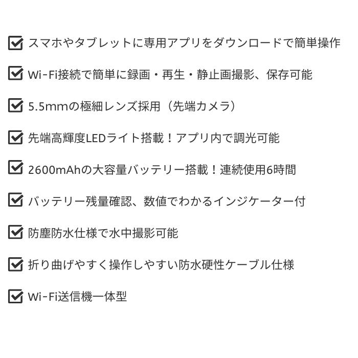 検査用内視鏡カメラ DHWC125ii