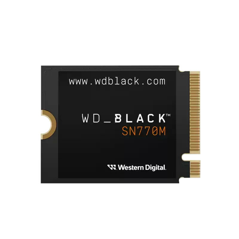 Western Digital WD_BLACK SN770M(WDS100T3X0G) NVMe M.2 SSD 1TB ROG AllyΉ Steam DeckΉ s 㗝XyViz