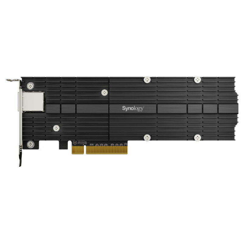 Synology M.2 NVMe & 10GbE Combo Adapter Card (PCIe 3.0 x8) E10M20-T1 NAS s 񂹁yViz