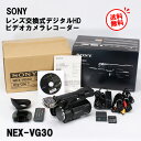 SONY デジタルビデオカメラNEX-VG30使