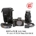 メカシャッター1450回以下☆SONY ミラーレス デジタル一眼 α7S III ILCE-7SM3有効約1210万画素35mmフルサイズ裏面照射型センサーズームレンズ FE 24-70mm F2.8 GM SEL2470GM 付属【送料無料 中古 一ヶ月保証】ソニー アルファ カメラ Eマウント