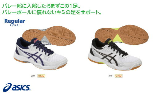 アシックス asics GEL-TASK　ゲルタスク バレーボールシューズ