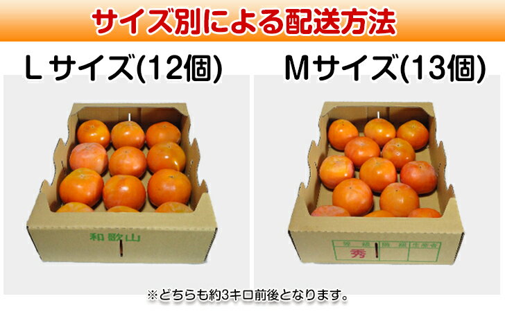 【柿】【赤秀】 馬場さん家のあま〜い富有柿 （Mサイズ 13個入り/Lサイズ 12個入り/Sサイズ 15〜16個入り） 約3キロ（箱いっぱいでの配送） 送料無料 柿 かき カキ 和歌山の柿！産地直送 農家直送商品 3