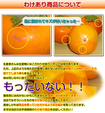 【数量限定商品】【送料無料】【柿 訳あり】 （ご家庭用） 馬場さん家のあま〜い富有柿 S・M・Lサイズ不選別 （12〜16個） 約3キロ 訳あり わけあり ワケあり ワケアリ 柿 カキ かき 家庭用 キャッシュレス5％還元・消費者還元