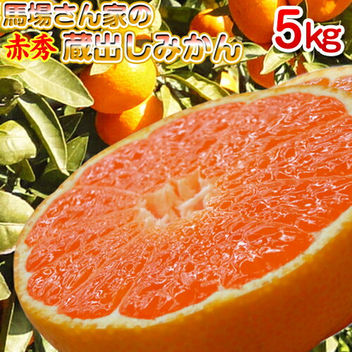 温州みかん 高級ブランド 蔵出しみかん【赤秀】5kg【国産 和歌山 みかん 送料無料】 馬場さん家の蔵出しみかん 5kg和歌山県産 下津みかん 箱売り2箱以上購入で送料無料熟成 蜜柑 ミカン