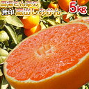 温州みかん 高級ブランド 蔵出しみかん【無印】5kg【和歌山 みかん 送料無料】馬場さん家のわけあり蔵出しみかん 5kg和歌山県産 下津みかん 2箱以上購入で送...