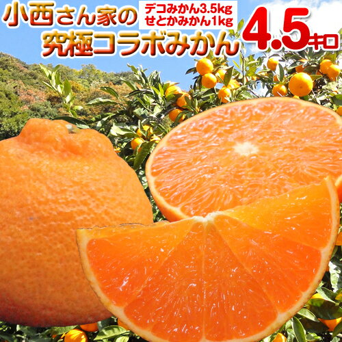 【和歌山 みかん 送料無料】お買い得品 4.5kg 小西さん家のデコみかん・せとかみかん！ 【産地直送】 和歌山県産 高級みかんを食べ比べ！ デコみかん（デコポン） 3.5kg せとかみかん 1kg 2個購入で送料無料！ みかん ミカン 蜜柑 02P05Nov16