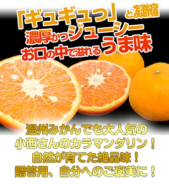 幻の みかん 送料無料 小西さん家のカラマンダリン 2.2kg せとか かんぺい に負けないジューシーで濃厚な絶品味!【産地直送】 和歌山県産 温州みかんとキングマンダリンの交配種! カラーマンダリン 2個以上購入で送料無料 春みかん
