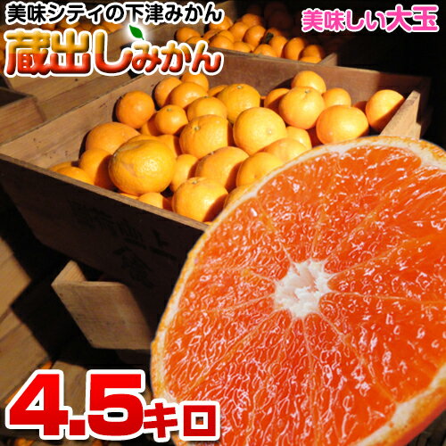 【ご家庭用】農家直送の蔵出しみかん 4.5kg 大玉サイズ 