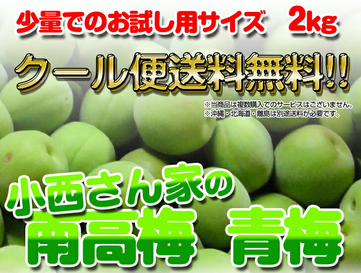 青梅 【お試し】小西さん家の青梅 南高梅 2kg【ちょっと訳あり】2022年度産 【産地直送/お取り寄せ】和歌山産 数量限定 M〜3Lサイズ不全別 (梅酒・梅シロップ用) 送料無料（北海道・沖縄は除く）あおうめ 青うめ