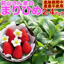前山さん家のまりひめ!2/4パック入り 和歌山県産 ブランド苺 まりひめ【秀品】 ボクのイチゴ♪ 安心 安全 栽培期間中農薬不使用! 紀州特産品 クール便配送商...