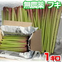  天然 朝穫りフキ 約1kg（1000g）栽培期間中農薬不使用 手ごろな長さにカット和歌山県産 蕗 苳 款冬 菜蕗ふき 春野菜 野菜