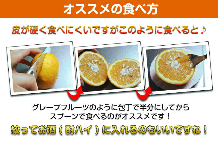 【柑橘 ちょっと訳あり】2個購入で送料無料♪温州みかん 硯さん家の甘夏（夏みかん）2kg和歌山県産 自然の恵み甘夏みかん無農薬みかん！[産地直送 夏ミカン]キャッシュレス5％還元・消費者還元