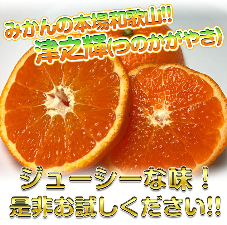 2個以上ご購入で送料無料 ご家庭用（わけあり）◇産地直送◇ 上森さん家の 津之輝 (つのかがやき) ジューシーな味わい！ ドカ〜ンと5kg サイズ混合 和歌山県産 絶品みかん 下津みかん 清見オレンジ せとか のように外皮も薄く食べやすい！