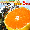◇産地直送◇ 上森さん家の温州みかん下津みかんドカ〜ンと5kg 【ちょっとわけあり】【ご家庭用】和歌山県産絶品みかん 有田みかんと一味違う 2箱以上購入送料無料...