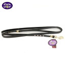 Fab Dog(t@uhbO) Swarovski Crystal Leash(XtXL[NX^[h)  hbOEFA ^pi q  ybg ` gCv[ [L[