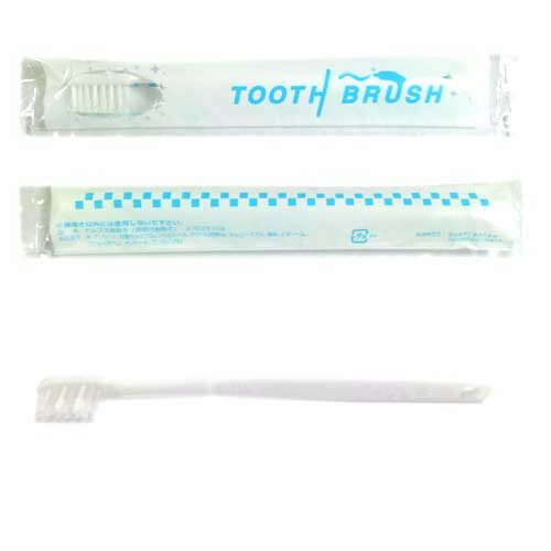 ŷԾŹ㤨֤ʴդ̳ѥϥ֥饷1ܡ̥ TOOTH BRUSH ȤΤƶ̳ѻ֥饷פβǤʤ20ߤˤʤޤ