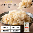 玄米 パック ご飯 200g×3食 もちもち 玄米 おいでまい 常温保存 保存食 レトルト食品