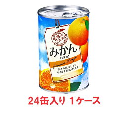 【送料無料】K&K国分　世界のめぐみ紀行　みかん　425g　4号缶（24缶入×1ケース）【賞味期限：2024.11.30】