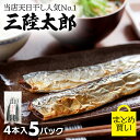 さんま サンマ 干物 【 三陸太郎 まとめ買い 4本入 5パック 】 送料無料 真空パック 丸干し さんま干物 魚 お取り寄せ ひもの 秋刀魚 岩手 大船渡 三陸 グルメ お取り寄せ 冷凍 ギフト つまみ 酒の肴 おかず お中元 御中元