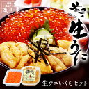 【10%OFFクーポン!】【ポイント2倍】 うに いくら 塩水うに 【 生ウニいくらセット 】 5月後半以降に発送開始予定 生うに いくら醤油漬け 生うに ウニ...