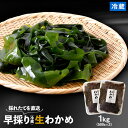 わかめ 送料無料 国産 【 冷蔵 早採り 生わかめ 1kg（500g×2） 】 ワカメ 若芽　和布 岩手 三陸 海藻 産地直送 ギフト プレゼント 贈答 お取り寄せ グルメ