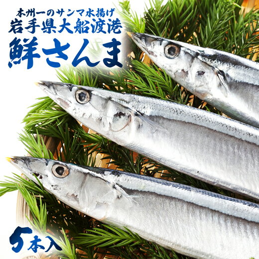 さんま サンマ 生さんま 送料無料 【 鮮さんま 5本入 直送便 】 生サンマ 鮮サンマ 秋刀魚 お取り寄せグルメ 国産 岩手 三陸 ギフト 産地直送