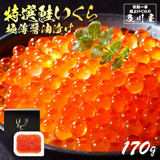  ե  Ҥ     Ҥ 170g  ̵ Ҥ     Φ ľ γ 餫ʿ äˤʤäؤι饮ե